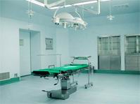 �������g(sh��)��